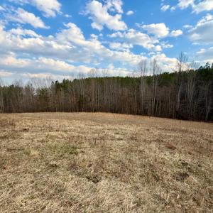Photo #14 of East Ferry Rd, Gladys, VA 54.3 acres
