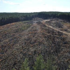 Photo #37 of East Ferry Rd, Gladys, VA 54.3 acres