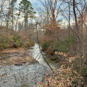 Photo #4 of East Ferry Rd, Gladys, VA 54.3 acres