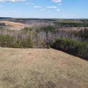 Photo #22 of East Ferry Rd, Gladys, VA 54.3 acres