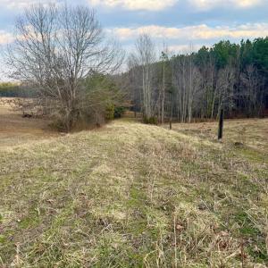 Photo #11 of East Ferry Rd, Gladys, VA 54.3 acres