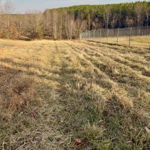 Photo #10 of East Ferry Rd, Gladys, VA 54.3 acres