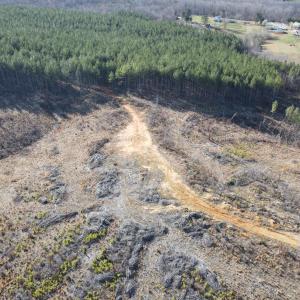 Photo #41 of East Ferry Rd, Gladys, VA 54.3 acres