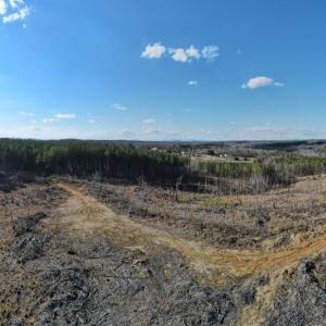 Photo #39 of East Ferry Rd, Gladys, VA 54.3 acres