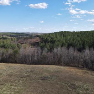 Photo #21 of East Ferry Rd, Gladys, VA 54.3 acres