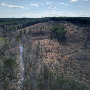 Photo #36 of East Ferry Rd, Gladys, VA 54.3 acres