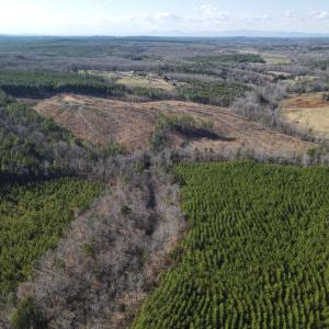 Photo #46 of East Ferry Rd, Gladys, VA 54.3 acres