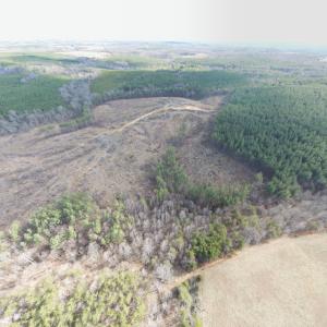 Photo #26 of East Ferry Rd, Gladys, VA 54.3 acres