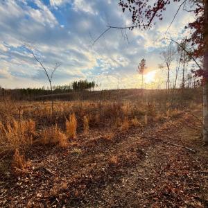 Photo #20 of East Ferry Rd, Gladys, VA 54.3 acres