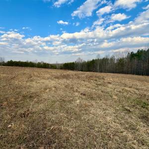 Photo #15 of East Ferry Rd, Gladys, VA 54.3 acres