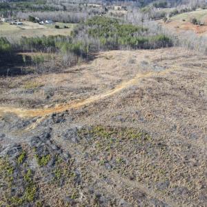 Photo #40 of East Ferry Rd, Gladys, VA 54.3 acres