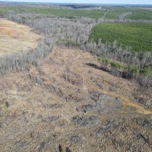 Photo #44 of East Ferry Rd, Gladys, VA 54.3 acres