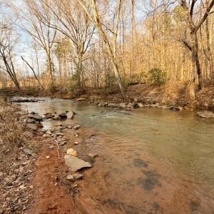 Photo #3 of East Ferry Rd, Gladys, VA 54.3 acres