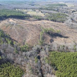 Photo #45 of East Ferry Rd, Gladys, VA 54.3 acres