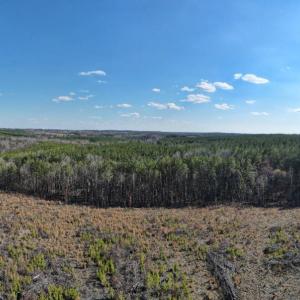 Photo #38 of East Ferry Rd, Gladys, VA 54.3 acres