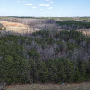 Photo #23 of East Ferry Rd, Gladys, VA 54.3 acres