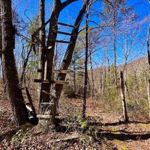 Photo #43 of 14528 Lee Jackson Hwy, Big Island, VA 70.1 acres