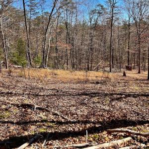 Photo #74 of 14528 Lee Jackson Hwy, Big Island, VA 70.1 acres