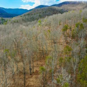 Photo #76 of 14528 Lee Jackson Hwy, Big Island, VA 70.1 acres