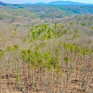 Photo #48 of 14528 Lee Jackson Hwy, Big Island, VA 70.1 acres