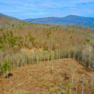 Photo #22 of 14528 Lee Jackson Hwy, Big Island, VA 70.1 acres