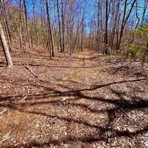 Photo #67 of 14528 Lee Jackson Hwy, Big Island, VA 70.1 acres