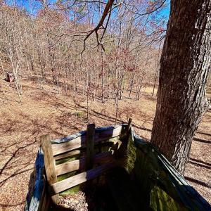 Photo #78 of 14528 Lee Jackson Hwy, Big Island, VA 70.1 acres