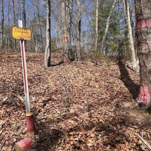 Photo #39 of 14528 Lee Jackson Hwy, Big Island, VA 70.1 acres