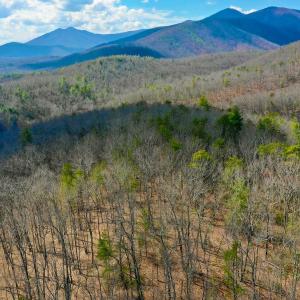 Photo #47 of 14528 Lee Jackson Hwy, Big Island, VA 70.1 acres