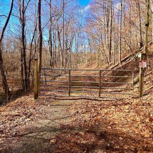 Photo #5 of 14528 Lee Jackson Hwy, Big Island, VA 70.1 acres