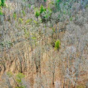 Photo #71 of 14528 Lee Jackson Hwy, Big Island, VA 70.1 acres