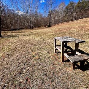 Photo #19 of 14528 Lee Jackson Hwy, Big Island, VA 70.1 acres