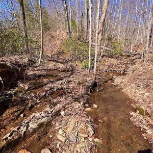 Photo #68 of 14528 Lee Jackson Hwy, Big Island, VA 70.1 acres