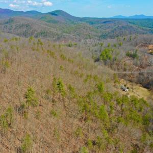 Photo #21 of 14528 Lee Jackson Hwy, Big Island, VA 70.1 acres