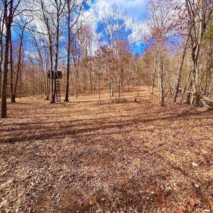 Photo #77 of 14528 Lee Jackson Hwy, Big Island, VA 70.1 acres