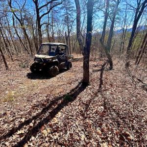 Photo #28 of 14528 Lee Jackson Hwy, Big Island, VA 70.1 acres