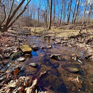 Photo #6 of 14528 Lee Jackson Hwy, Big Island, VA 70.1 acres