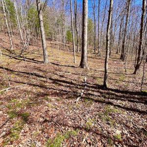 Photo #69 of 14528 Lee Jackson Hwy, Big Island, VA 70.1 acres