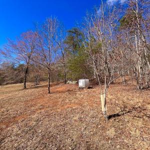 Photo #24 of 14528 Lee Jackson Hwy, Big Island, VA 70.1 acres