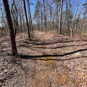 Photo #27 of 14528 Lee Jackson Hwy, Big Island, VA 70.1 acres