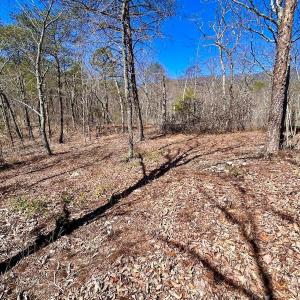 Photo #44 of 14528 Lee Jackson Hwy, Big Island, VA 70.1 acres