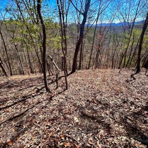 Photo #62 of 14528 Lee Jackson Hwy, Big Island, VA 70.1 acres