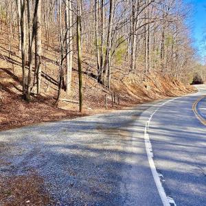 Photo #4 of 14528 Lee Jackson Hwy, Big Island, VA 70.1 acres