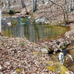 Photo #72 of 14528 Lee Jackson Hwy, Big Island, VA 70.1 acres