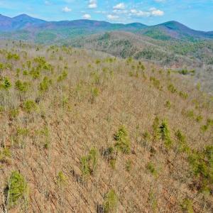 Photo #33 of 14528 Lee Jackson Hwy, Big Island, VA 70.1 acres