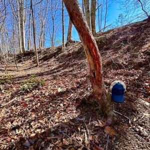 Photo #80 of 14528 Lee Jackson Hwy, Big Island, VA 70.1 acres