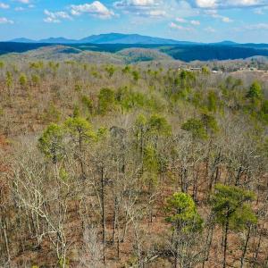 Photo #32 of 14528 Lee Jackson Hwy, Big Island, VA 70.1 acres