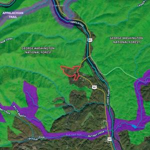 Photo #3 of 14528 Lee Jackson Hwy, Big Island, VA 70.1 acres