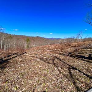 Photo #83 of 14528 Lee Jackson Hwy, Big Island, VA 70.1 acres