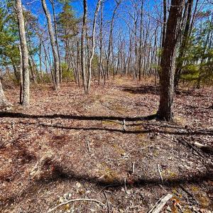 Photo #30 of 14528 Lee Jackson Hwy, Big Island, VA 70.1 acres